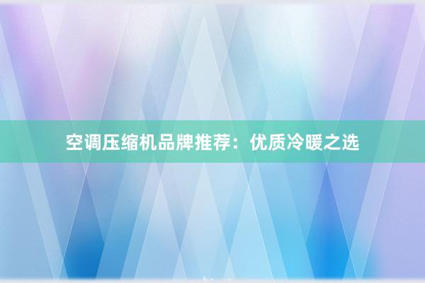 空调压缩机品牌推荐：优质冷暖之选